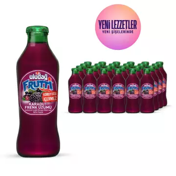 Uludağ Frenk Üzümü - Karadut Cam 200 ml 24′lü Paket