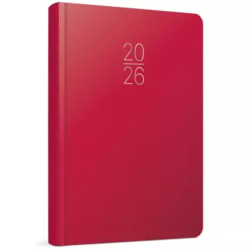 Gıpta 119-ECK Günlük 2026 Ajanda 20x28 Çizgili Cilt Bezi