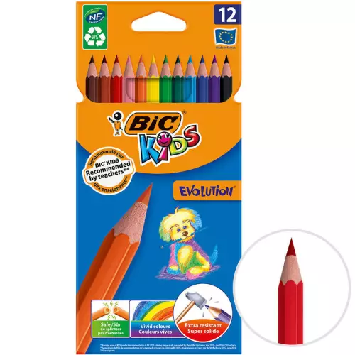 Bic Kids Evolution Kuru Boya Kalemi 12'li Paket (82902910)