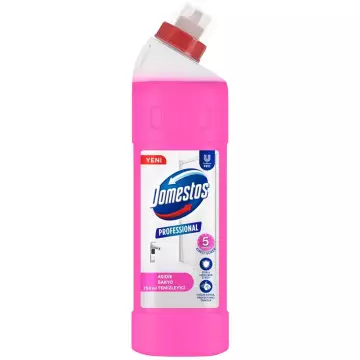 Domestos Professional Asidik Banyo Temizleyici 750 ml